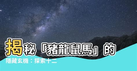 豬龍鼠馬什麼意思